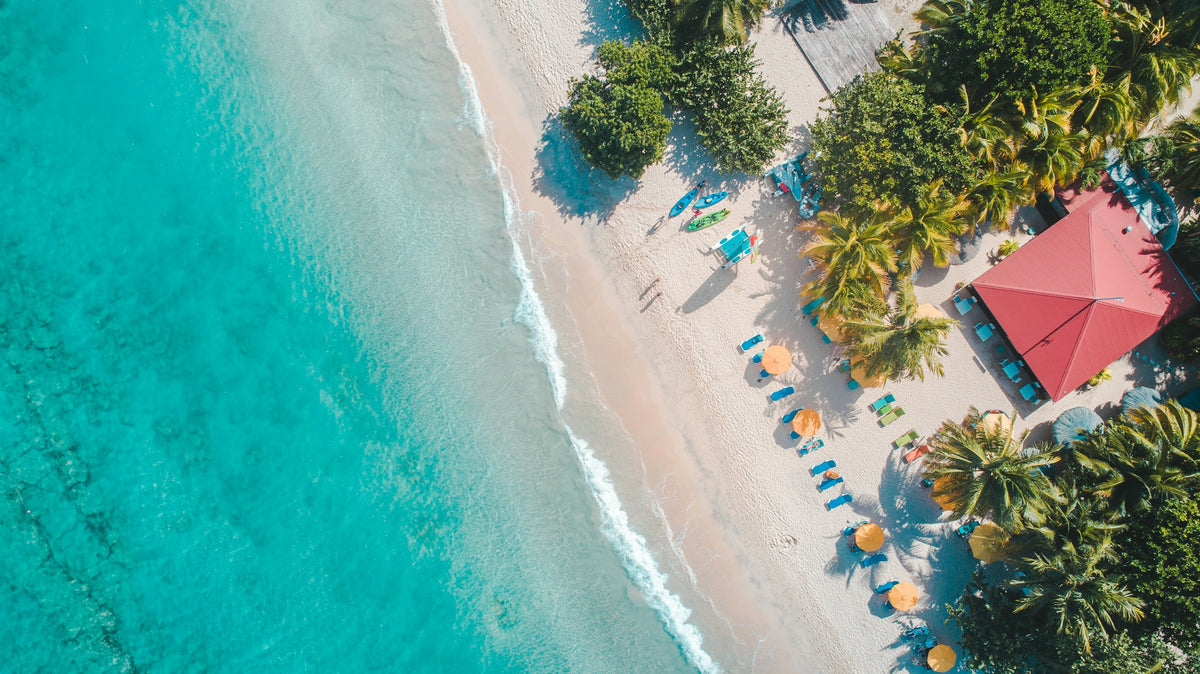 Palm-lined beach from above, Caribbean
