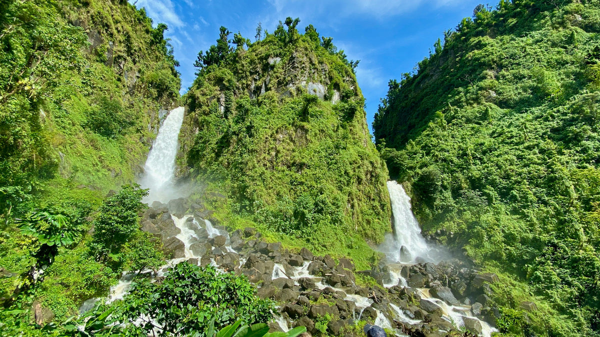 Twin waterfalls in the rainforest, Dominica