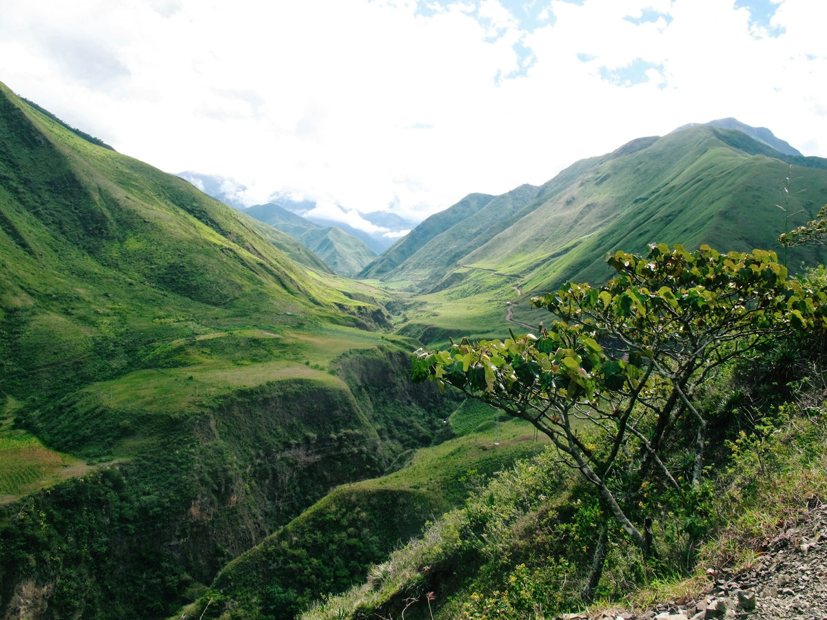 Green mountain valley, Ecuador