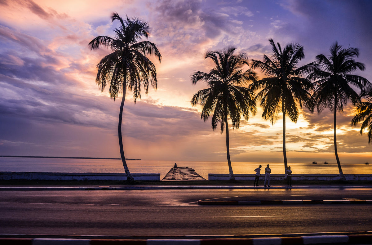 Palm trees at sunset on the beach, Gabon