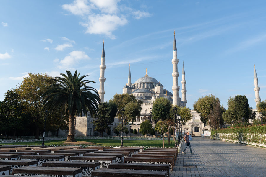 The Blue Mosque with its six minarets behind a palm tree in Sultanahmet, Istanbul