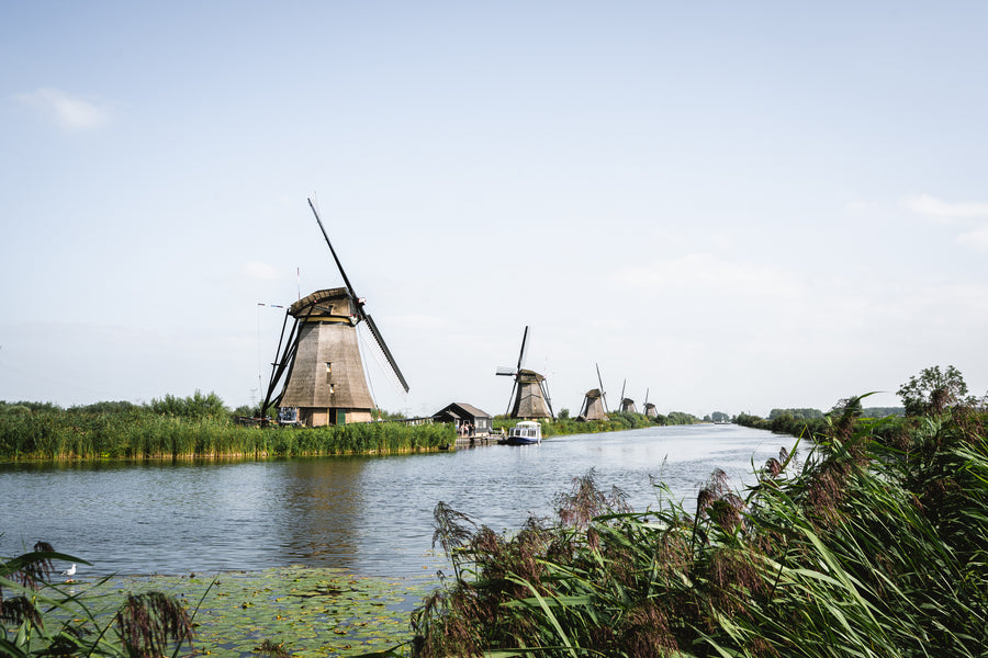 Molens langs een vaart met riet bij Kinderdijk