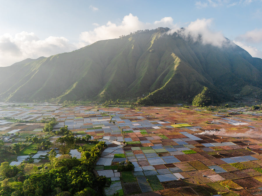 Mount Rinjani rising above fields and villages on Lombok