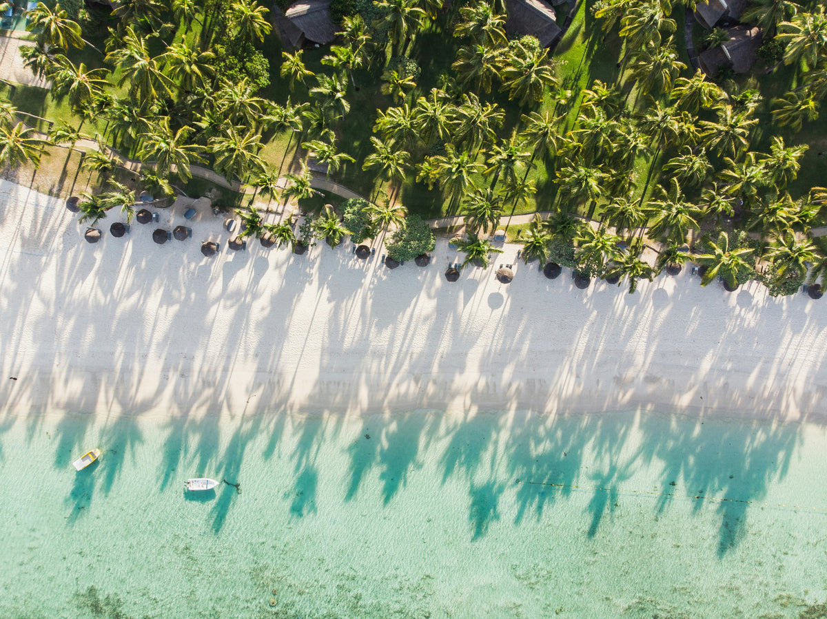 Palm trees along a white beach from above, Mauritius