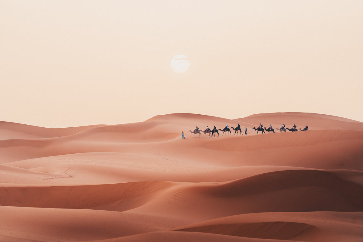 Africa