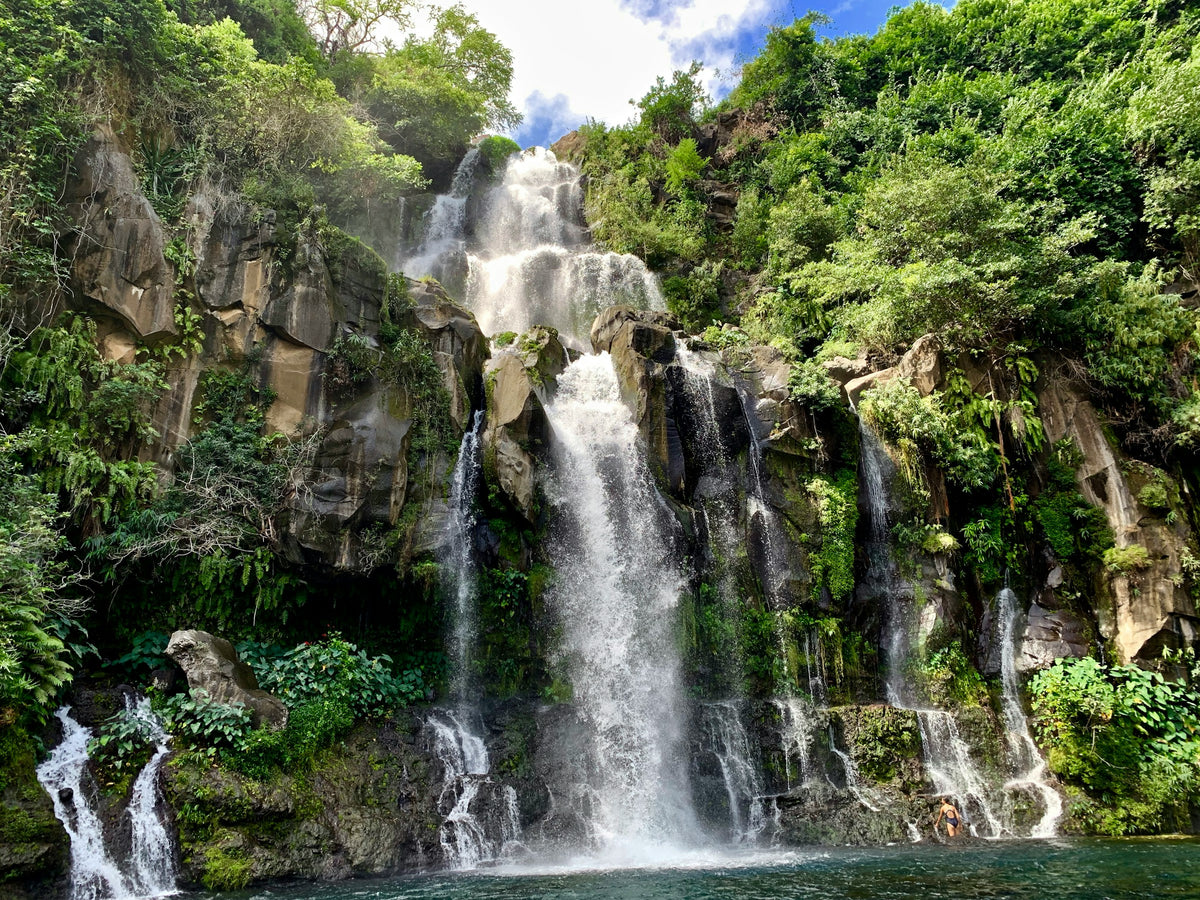 Waterfall in a green gorge, Réunion