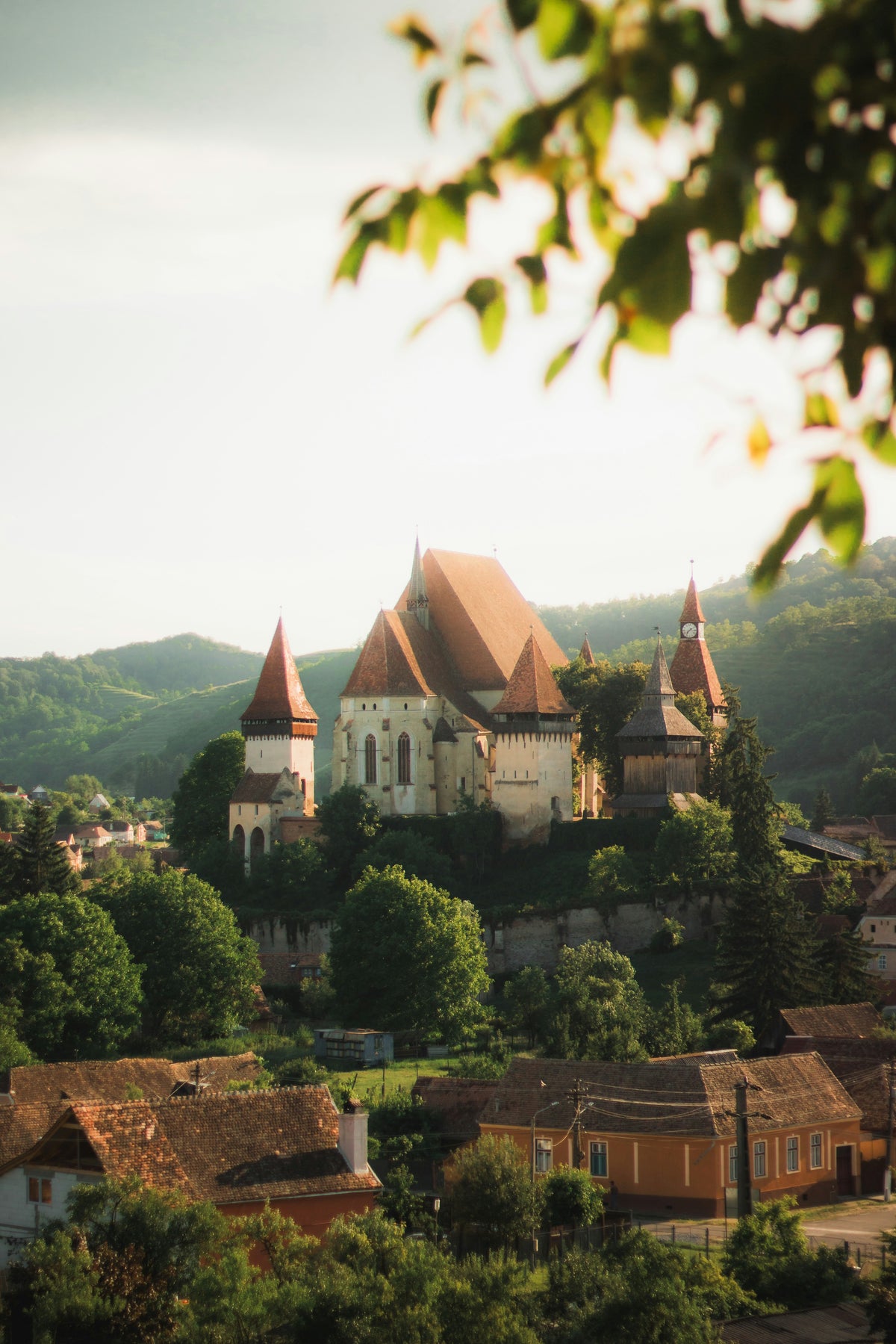 Castle above the trees, Romania