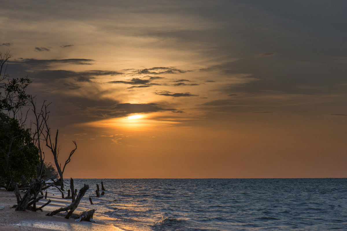 Sunset over the water, Suriname
