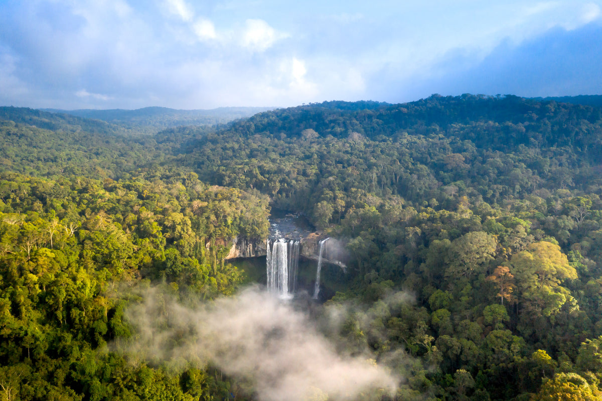 Waterfall in the rainforest, Venezuela