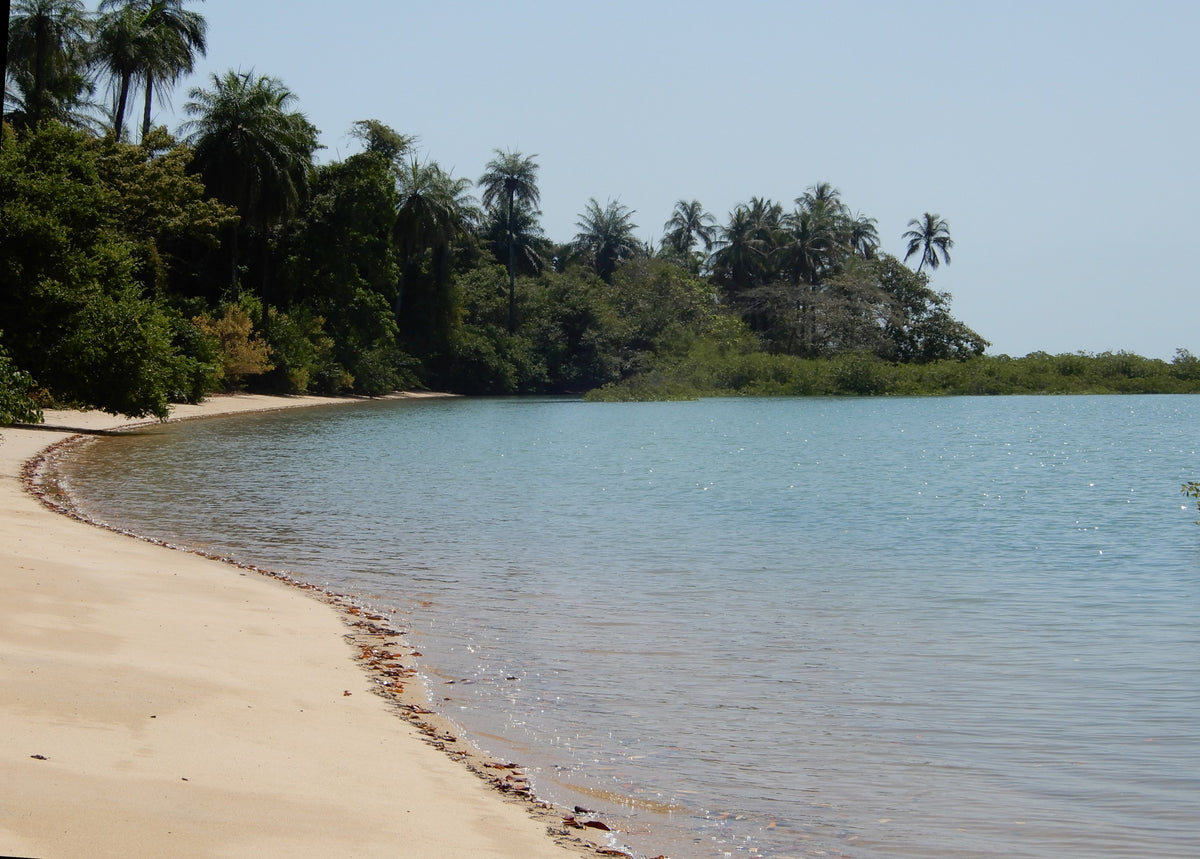 Strand met palmen op Bolama, Guinee-Bissau