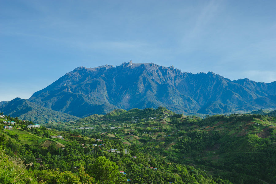 Mount Kinabalu rising above the jungle in Sabah, Malaysian Borneo
