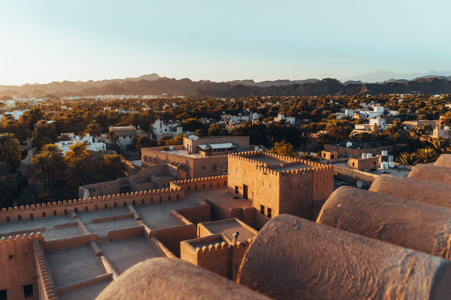 View from Nizwa Fort over the old town and palm groves, Oman