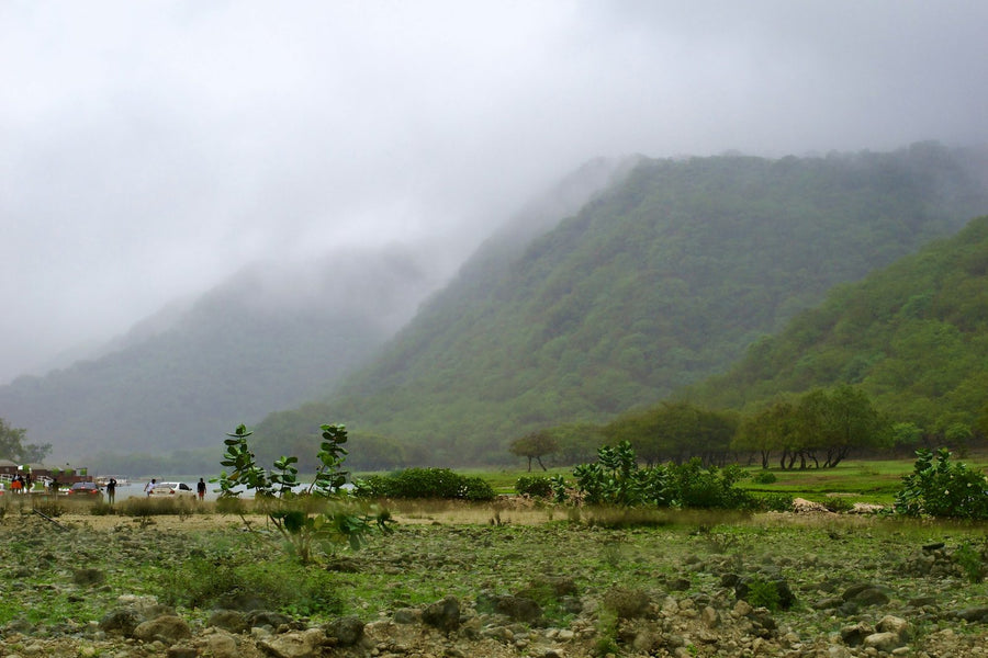 Green hills in the mist around Salalah during the khareef season, Oman