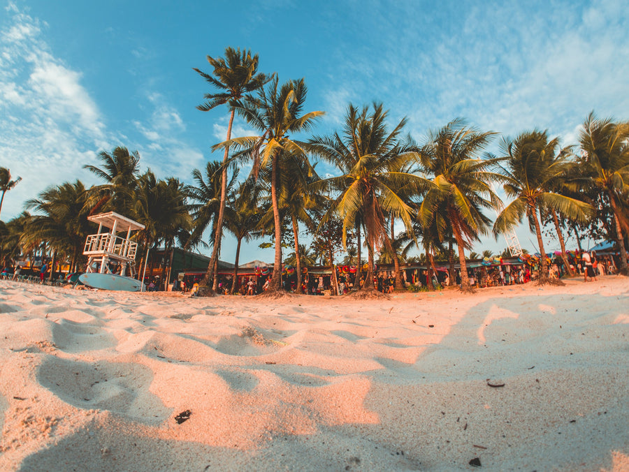 Palm trees and white sand on Boracay at sunset