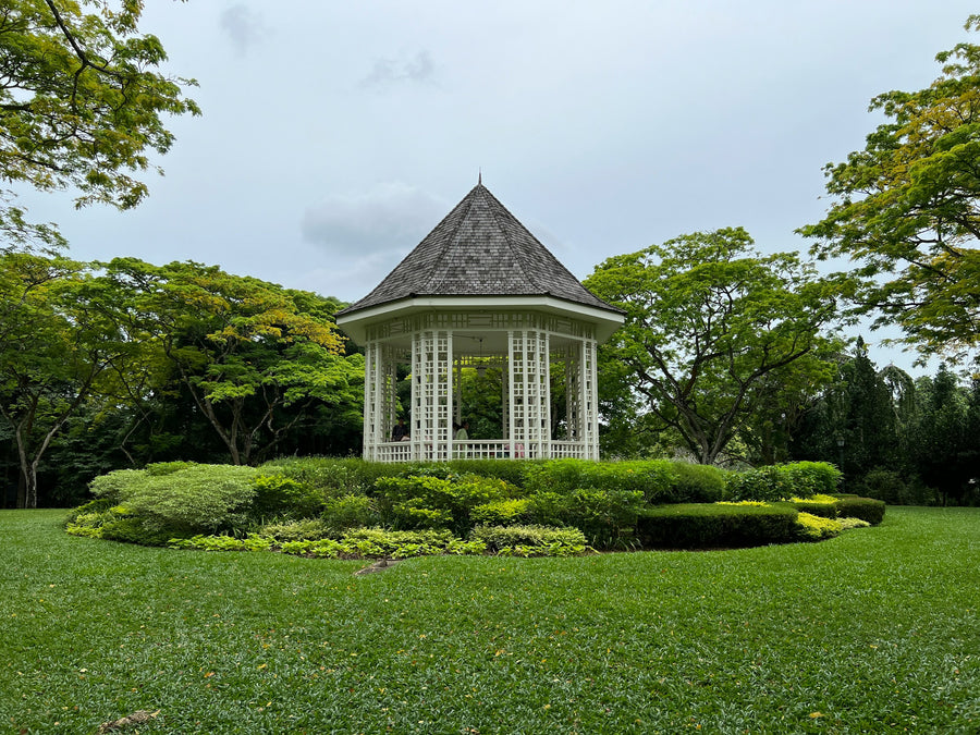 Een witte muziektent op een gazon tussen tropische bomen in de Singapore Botanic Gardens