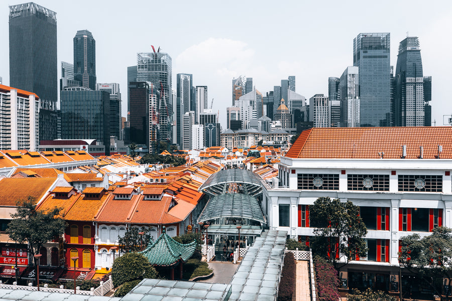 Daken en shophouses van Chinatown met de skyline van Singapore erachter