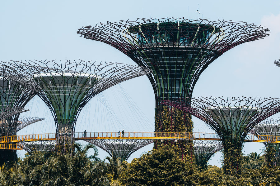 De Supertree Grove met de loopbrug bij Gardens by the Bay, Singapore